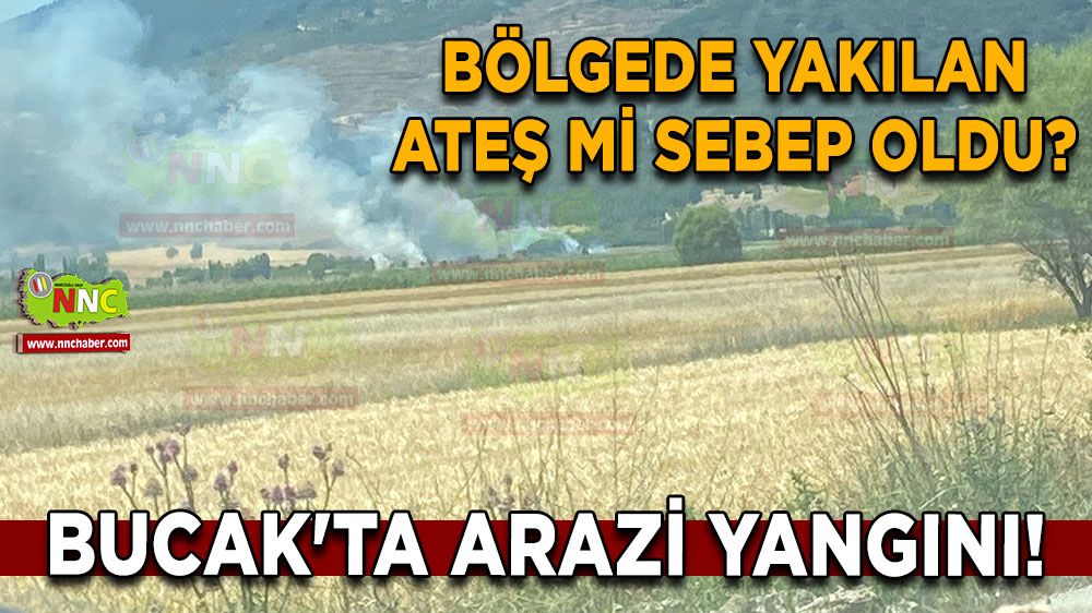 Bucak'ta arazi yangını! Bölgede yakılan ateş mi sebep oldu?