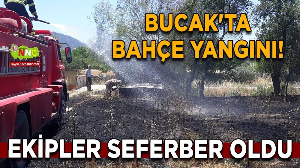 Bucak'ta bahçe yangını paniğe neden oldu