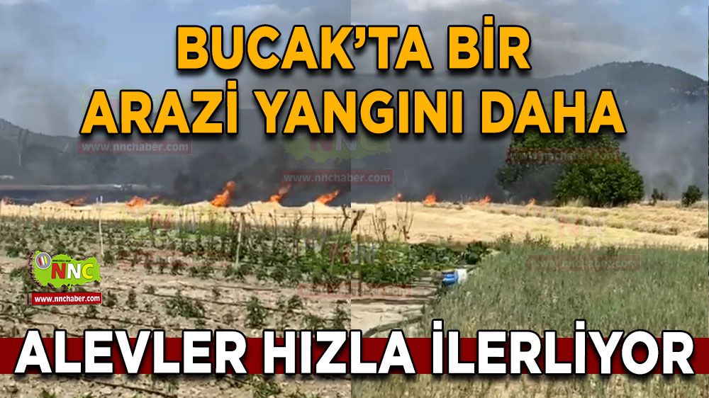 Bucak'ta bir arazi yangını daha! Alevler bir anda hızlandı