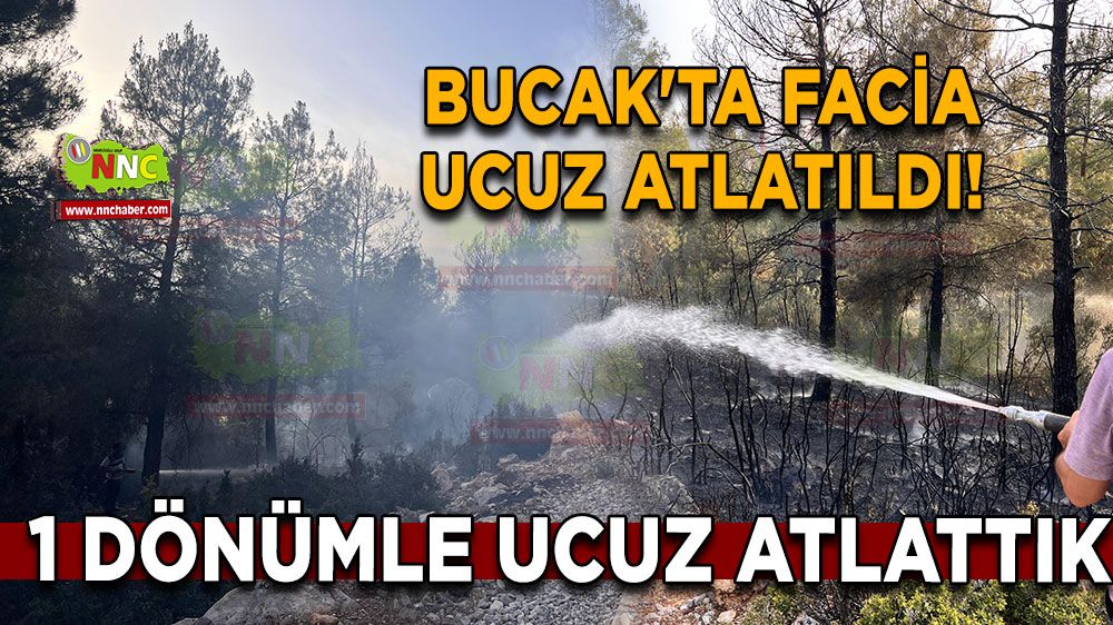 Bucak'ta facia ucuz atlatıldı! 1 dönümle ucuz atlattık