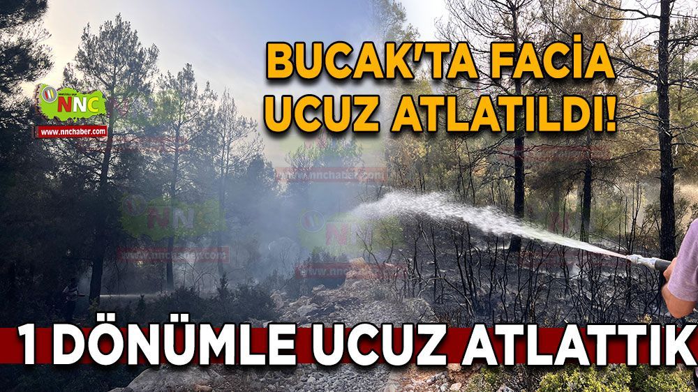 Bucak'ta orman yangını kısa sürede söndürüldü