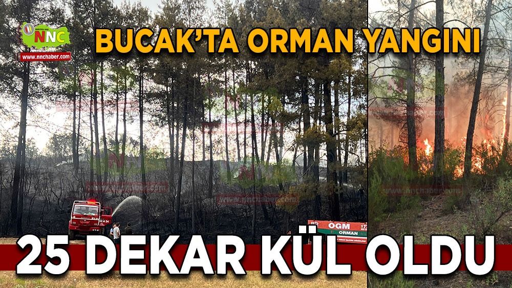 Bucak'ta ormanda alevler yükseldi! 25 dekar zarar gördü