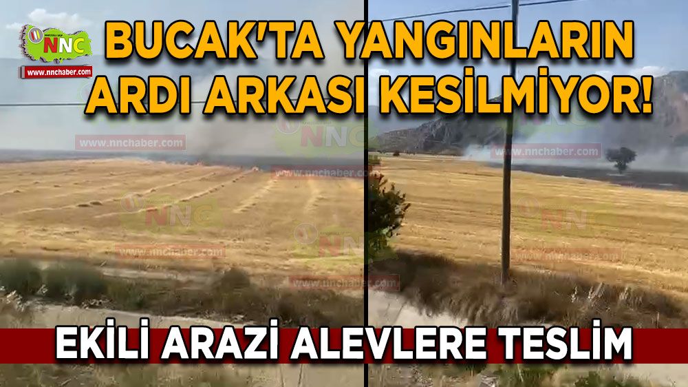 Bucak'ta yangınların ardı arkası kesilmiyor! Ekili arazi alevlere teslim