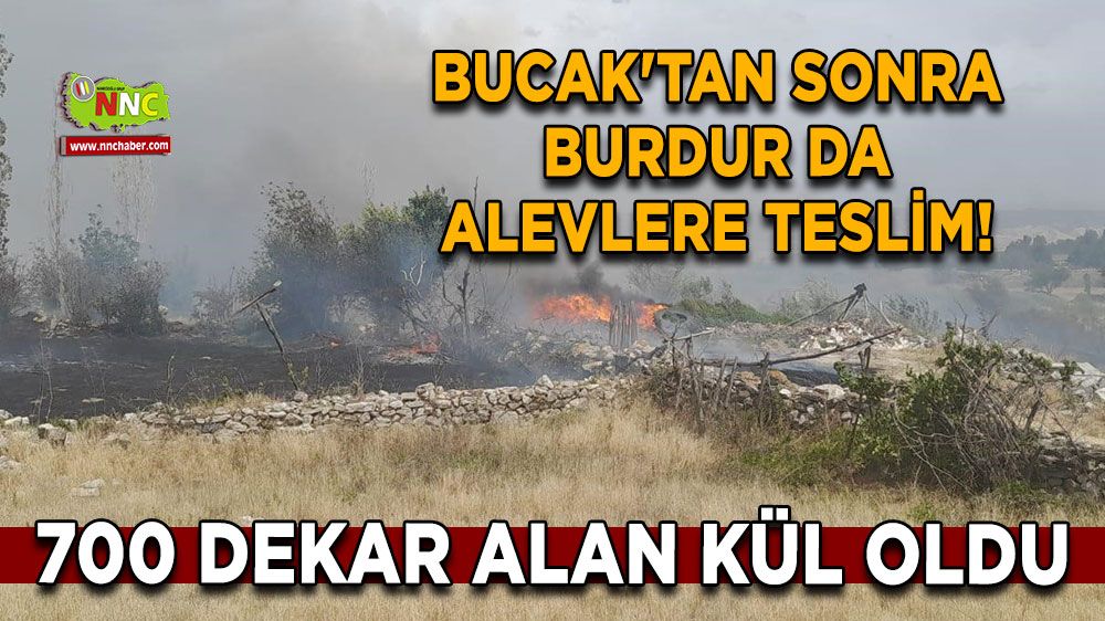 Bucak'tan sonra Burdur da alevlere teslim! 700 dekar alan kül oldu