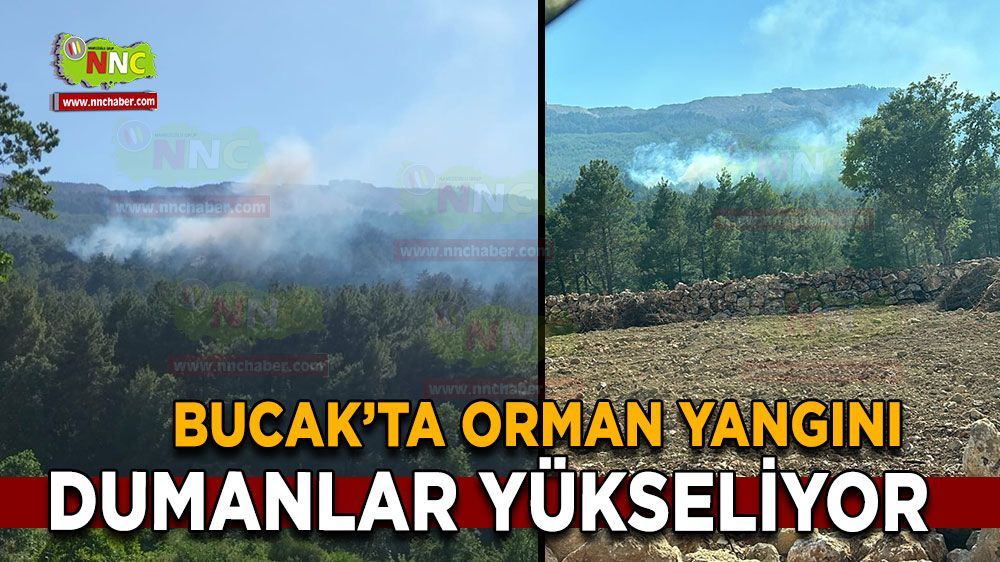 Burdur'da orman yangını! Bölgeden dumanlar yükseliyor