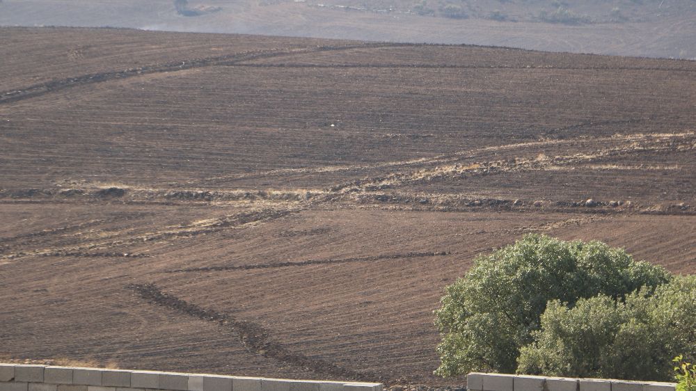 Diyarbakır'da anız yangını 3 ölü 11 kişi yaralandı yangının boyutu gün ağırınca çıktı