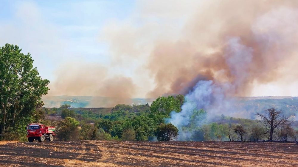 Edirne'de anız yangını buğday tarlarına ve ormana sıçradı