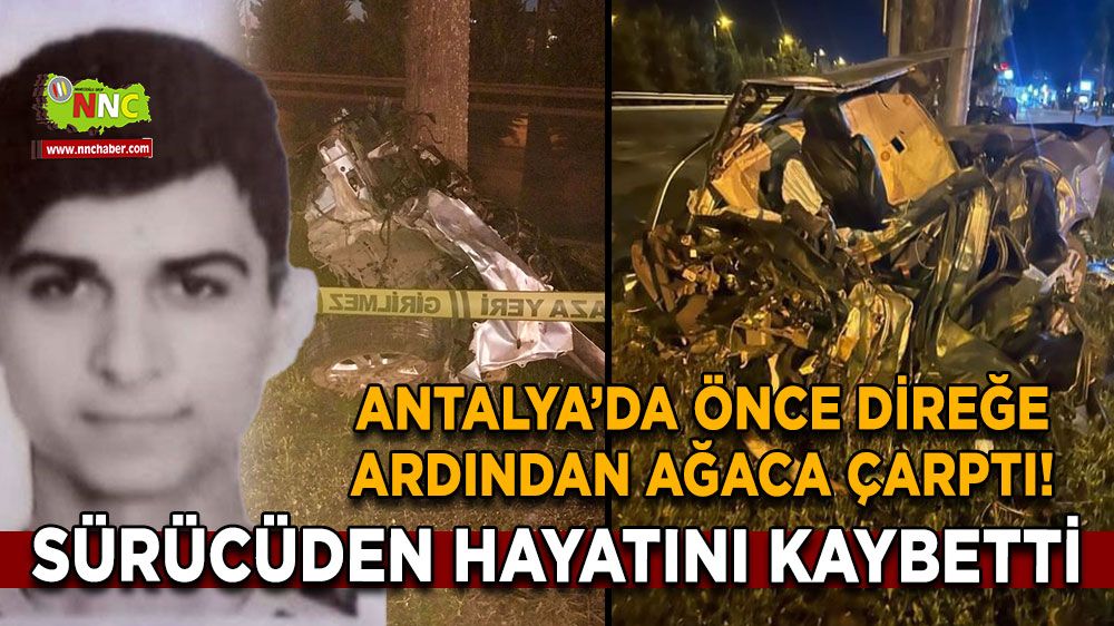 Önce direğe ardından ağaca çarptı! Sürücüden acı haber