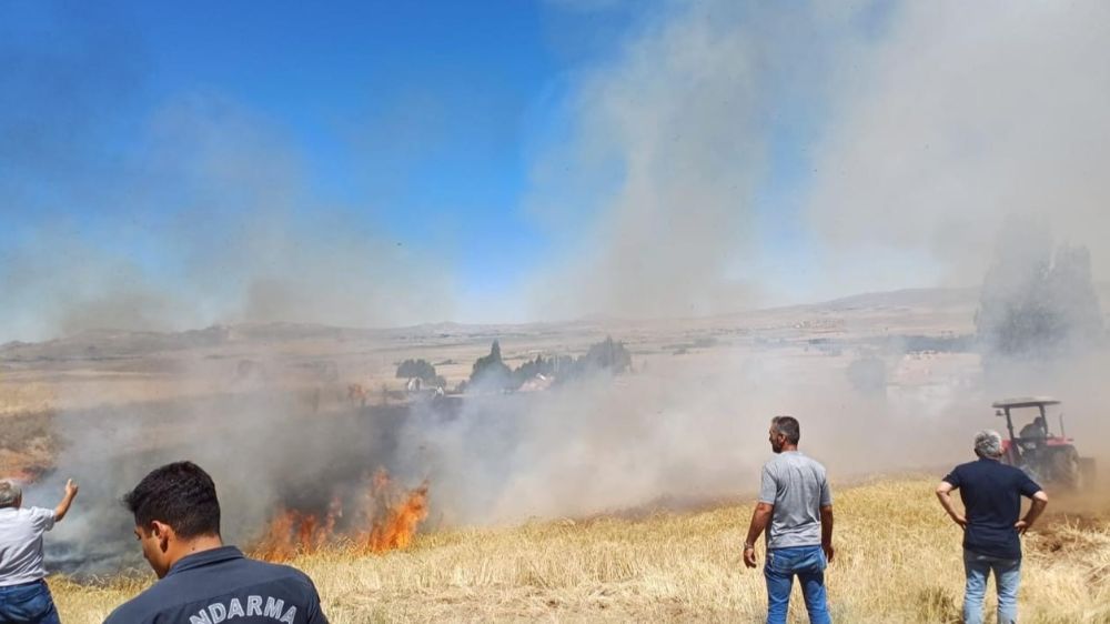 Sivas'ta arazi yangını 20 dekarlık alan kül oldu