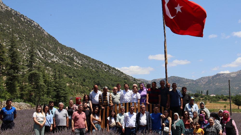 Adana’da bu sene  ‘Feke Tapan Lavanta Festivali’ düzenlenmeyecek 