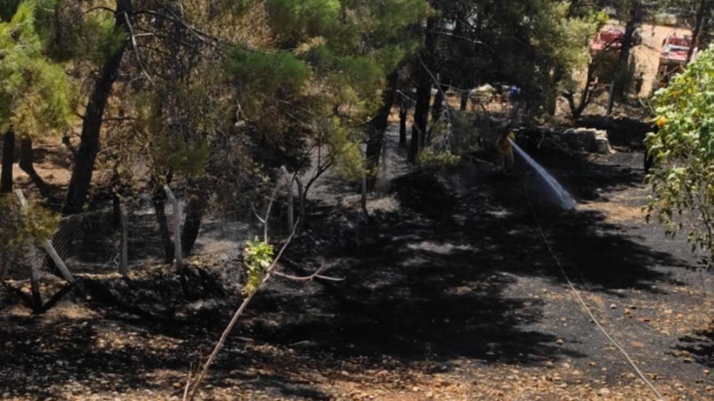 Adıyaman'da kuru ot yangını 