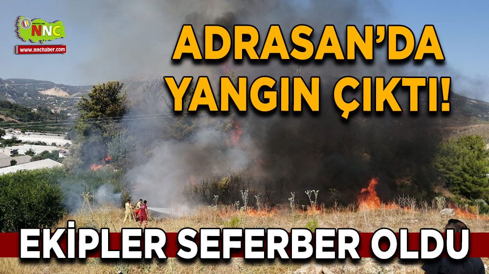 Adrasan' da çıkan yangın ormanlık alana sıçramadan söndürüldü