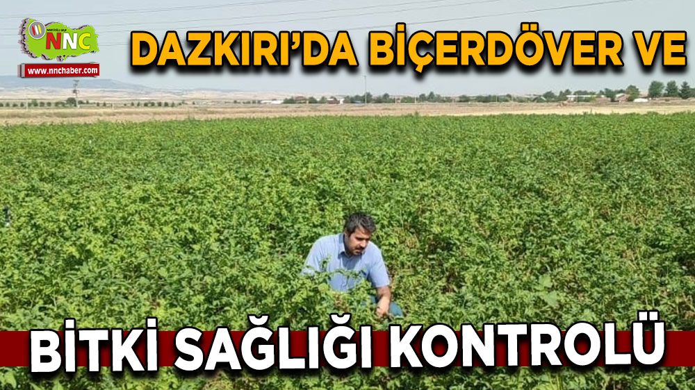 Afyon'da biçerdöver ve bitki sağlığı kontrolü