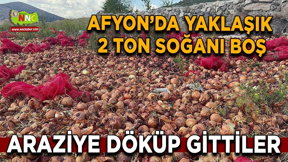 Afyon'da yaklaşık 2 ton kuru soğanı boş araziye döküp gittiler