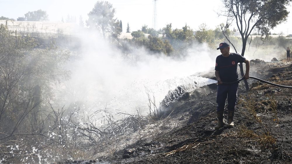 Antalya Aksu'da Yerleşim Yerlerine Yakın  Yangın  Seralar Zarar Gördü