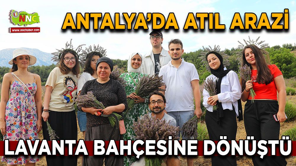 Antalya'da atıl arazi lavanta cennetine dönüştü