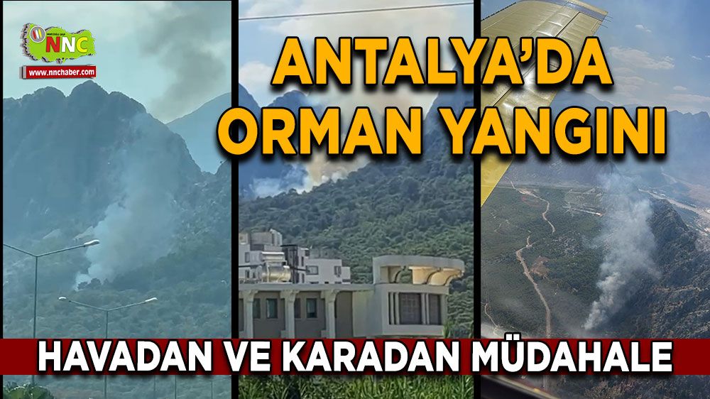 Antalya'da dağlık alanda yangın çıktı