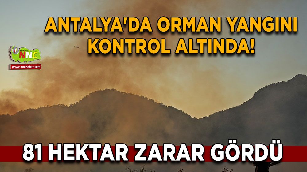 Antalya'da orman yangını kontrol altında! 81 hektar zarar gördü