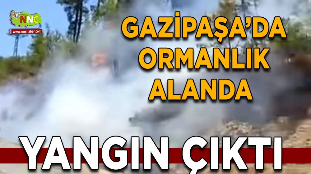 Antalya'da Ormanlık alanda yangın çıktı! Ekipler seferber oldu