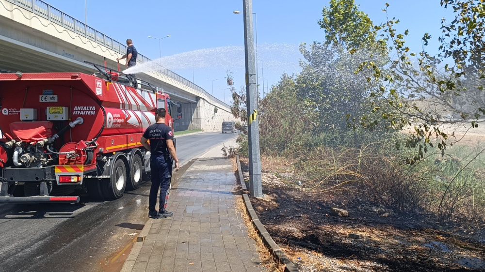 Antalya'da sigara izmariti yangına neden oldu