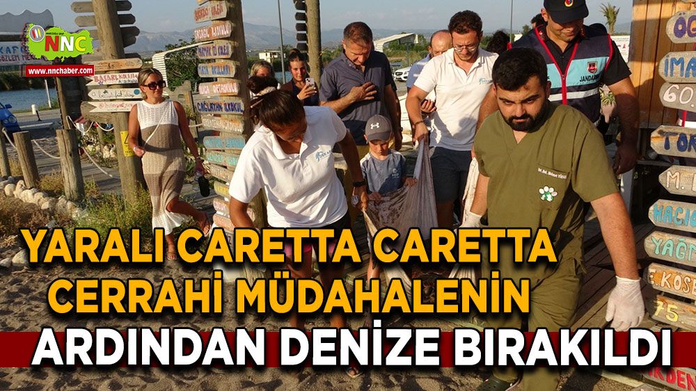 Antalya'da yaralı Caretta Caretta cerrahi müdahalenin ardından denize bırakıldı