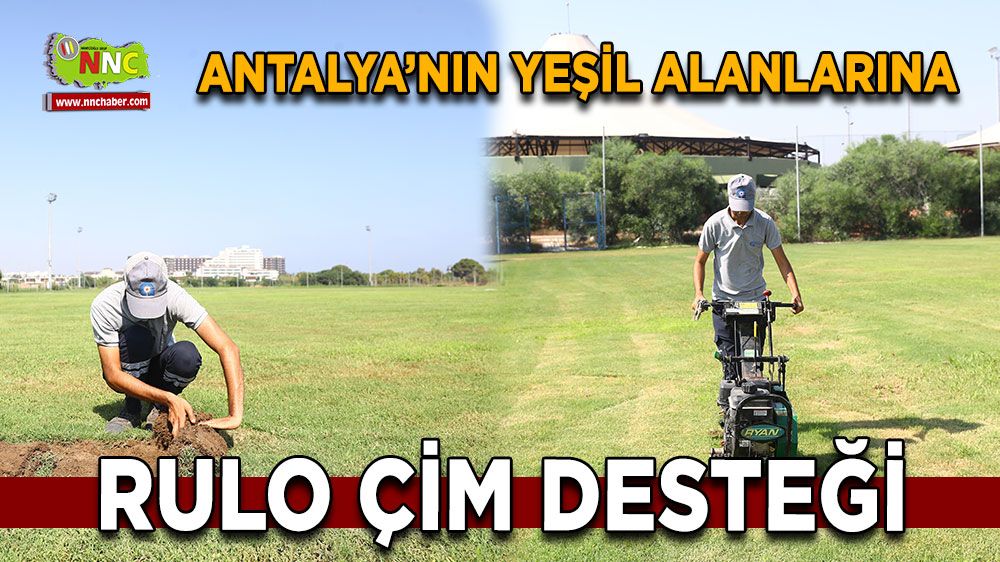 Antalya’nın yeşil alanlarına rulo çim desteği