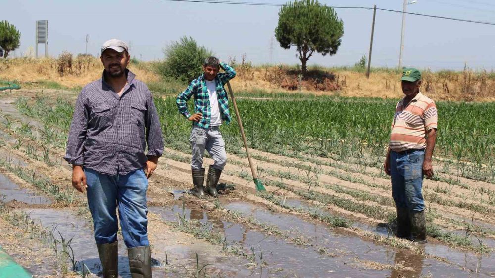 Aydın’da tarımsal üretimin önündeki büyük engel; "Çalıştıracak adam bulamıyoruz"