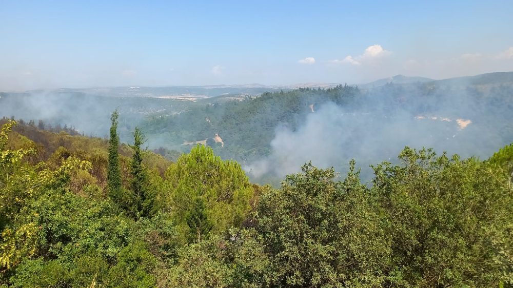 Balıkesir'de çıkan yangına müdahale devam ediyor 