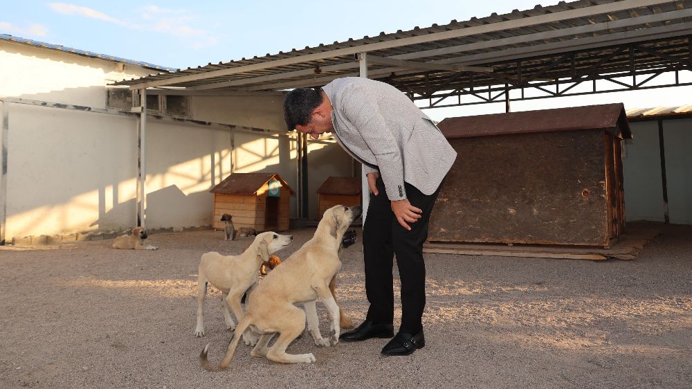 Başkan Rasim Arı; yeni bir Hayvan Kasabası kuracağız.