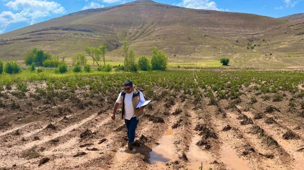 Bayburt'ta etkili olan dolu ekili tarım arazilerinde büyük hasarlara yol açtı