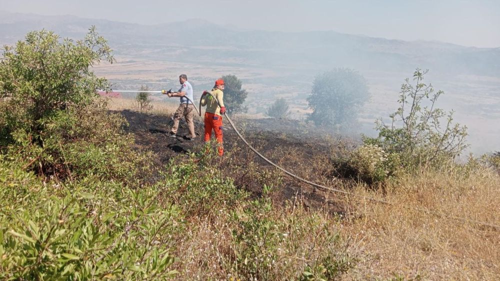 Bingöl'de yangın; , ormanlık alana sıçramadan söndürüldü