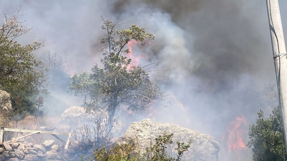 Bodrum’da makilik alanda yangın çıktı