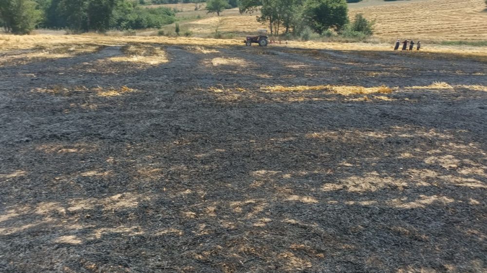 Bolu'da buğday sapları alev alev yandı