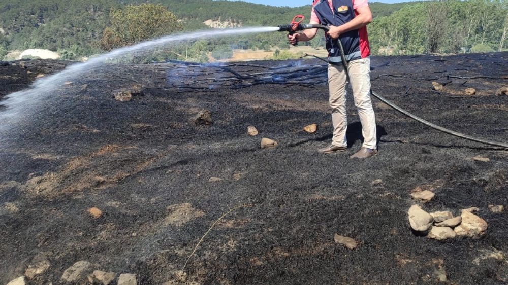 Bolu’da kuru ot yangını Ekipler seferber oldu