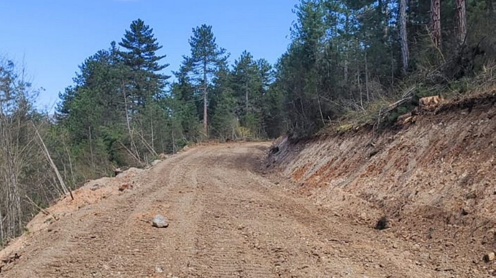 Bolu’nun Mengen ilçesine 12 kilometrelik orman yolu