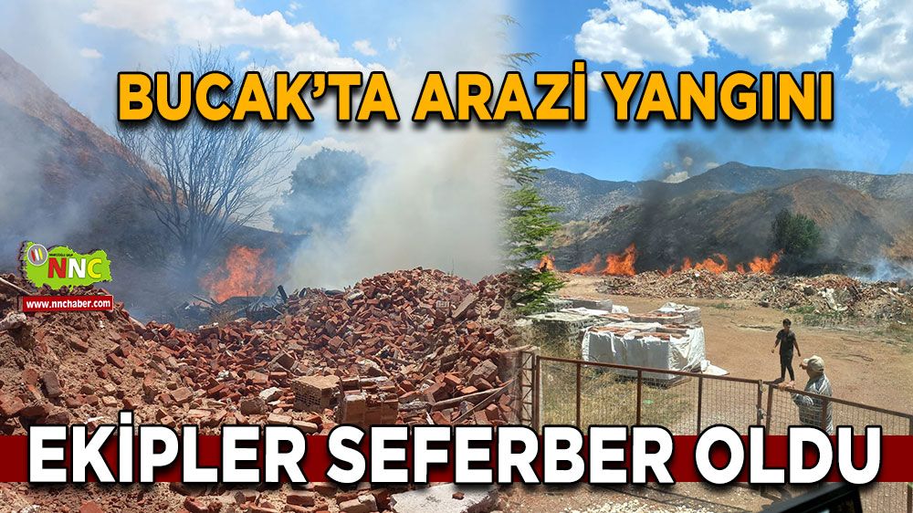 Bucak'ta arazi yangını! Alevler söndürüldü