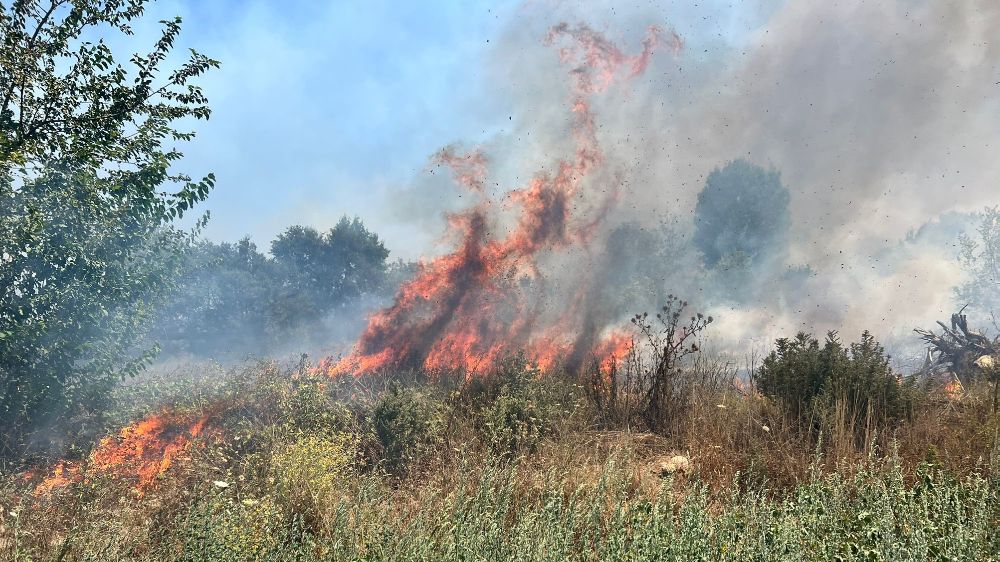 Bursa'da ormanlık alanda çıkan yangın paniğe neden oldu 
