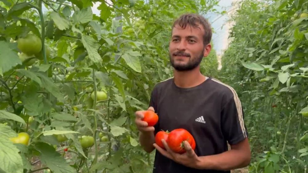 Çalıştığı seranın aynısını memleketine açıp işinin patronu oldu 