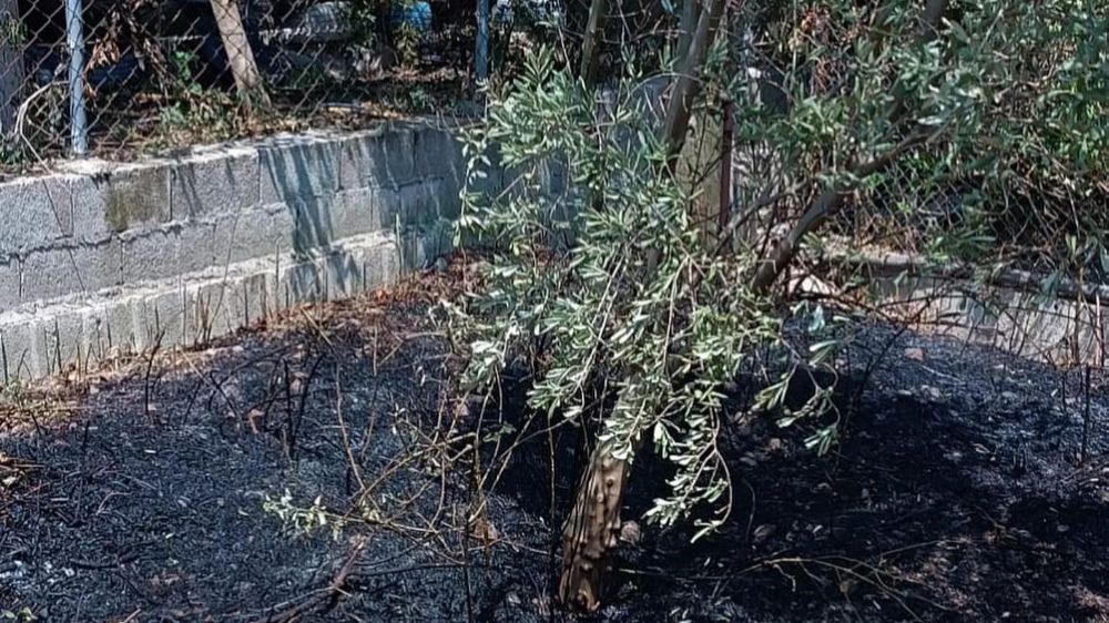 Defne'de bahçe yangını; itfaiye ekipleri felaketi önledi
