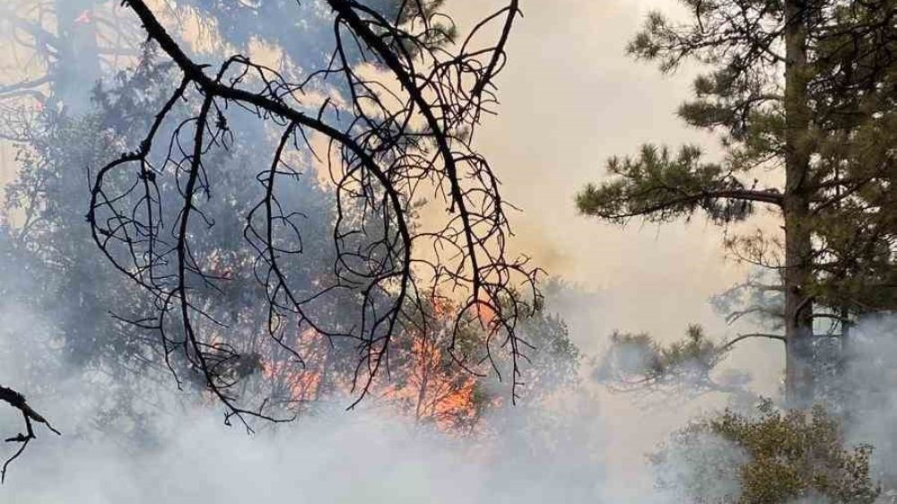 Denizli’de etkili olan l kuvvetli yağış yangına sebep oldu