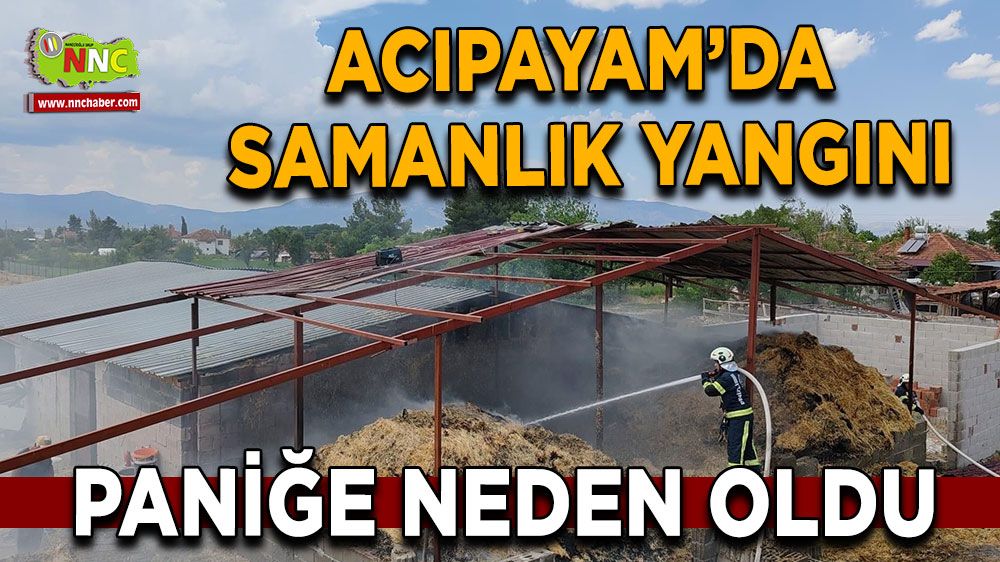 Denizli'de samanlık yangını paniğe neden oldu