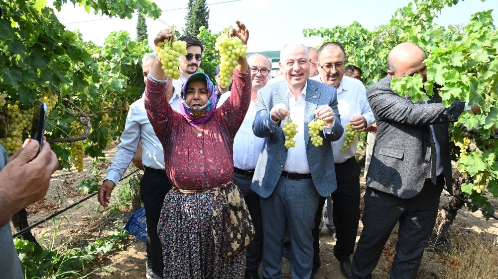 Denizli'de üzüm hasadı heyecanı başladı