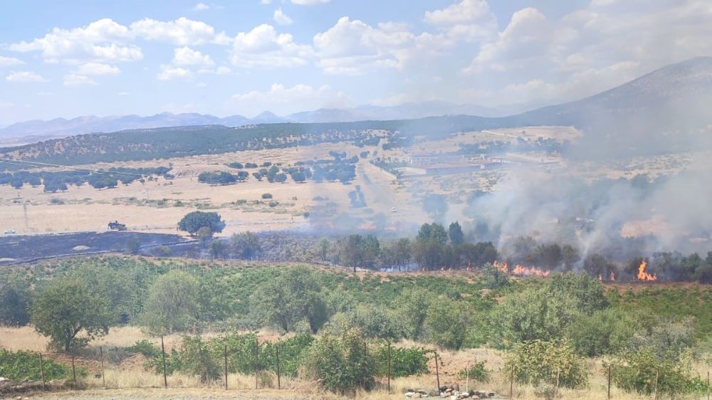 Diyarbakır’da yangın;  üzüm bağları ve meyve ağaçları zarar gördü