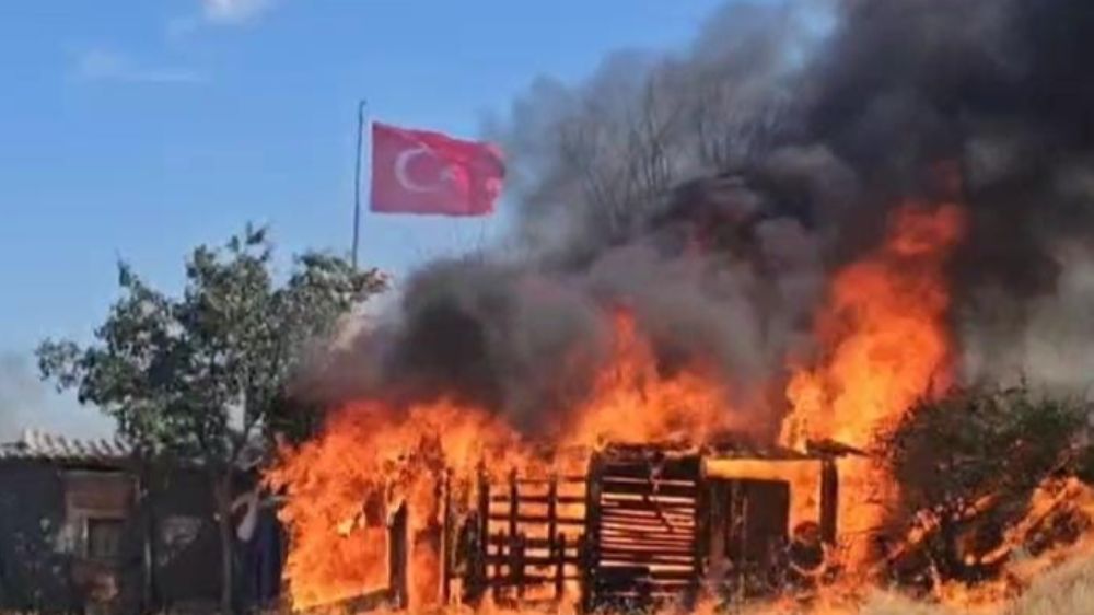 Edirne'de yangın buğday tarlası ve ağıl yangını