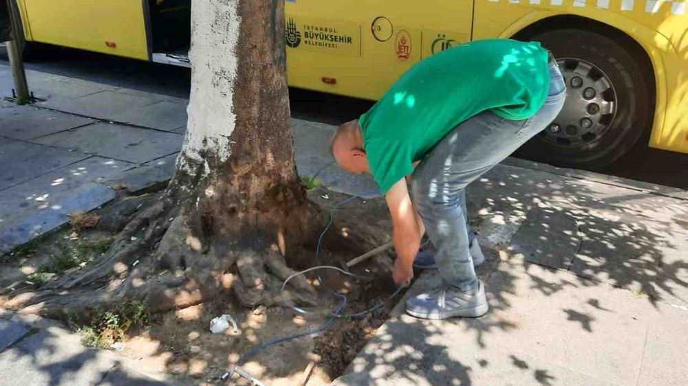 Elektrik kabloları mahallede yaşayanları korkuttu