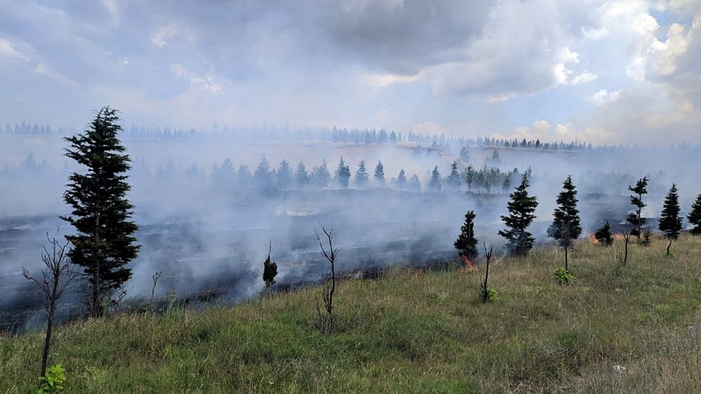 Eskişehir-Kütahya kara yolunda anız yangını