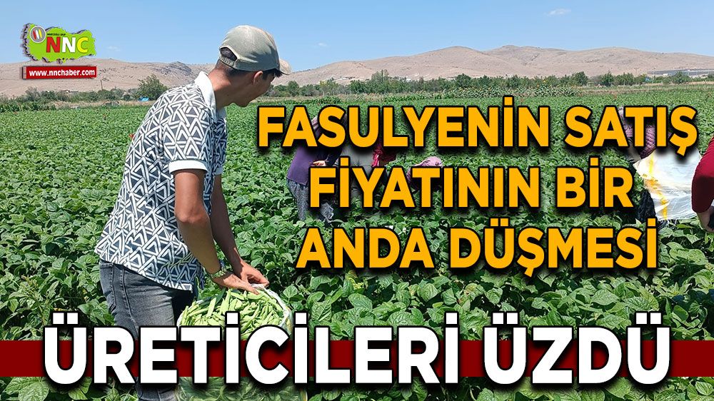 Fasulyenin fiyatındaki düşüş üreticileri üzüntüye uğrattı