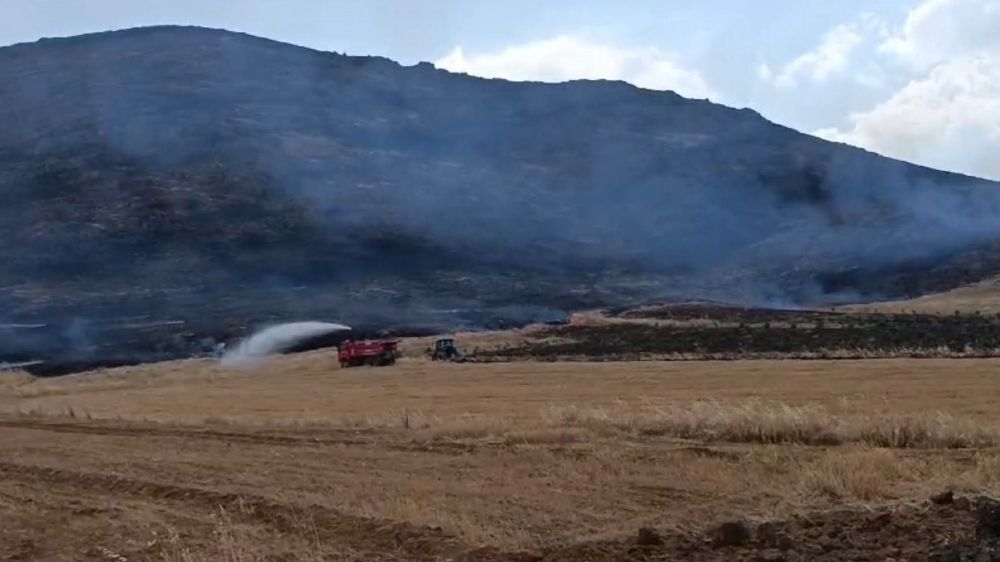 Gaziantep'te çıkan yangın 10 dönüm araziye zarar verdi 