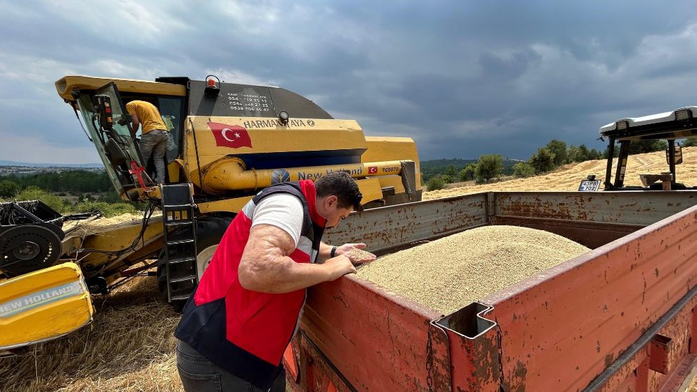 Gediz ve Emet ilçelerinde hasat denetimi 