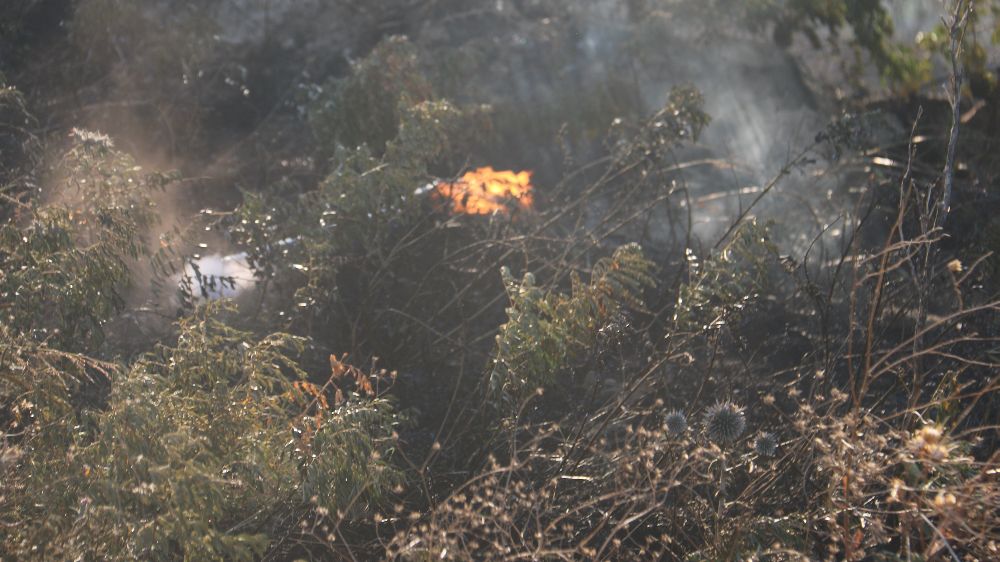 Hatay’da meydana gelen yangın büyümeden söndürüldü 